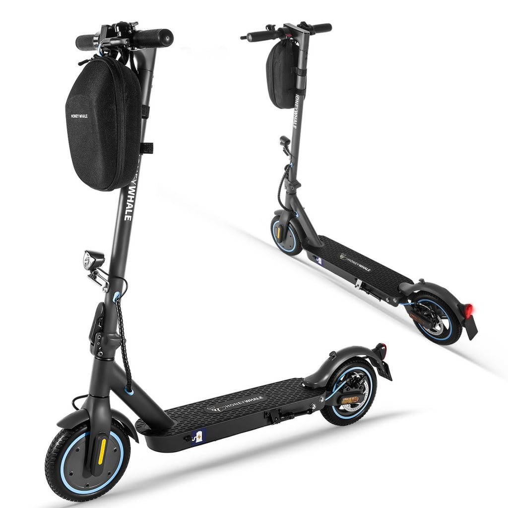 Trottinette électrique Honey Whale E9 Avec Certification ABE - Moteur 330W Batterie 36V7.5AH Autonomie 25KM Freins à Disque Pliable - Noir