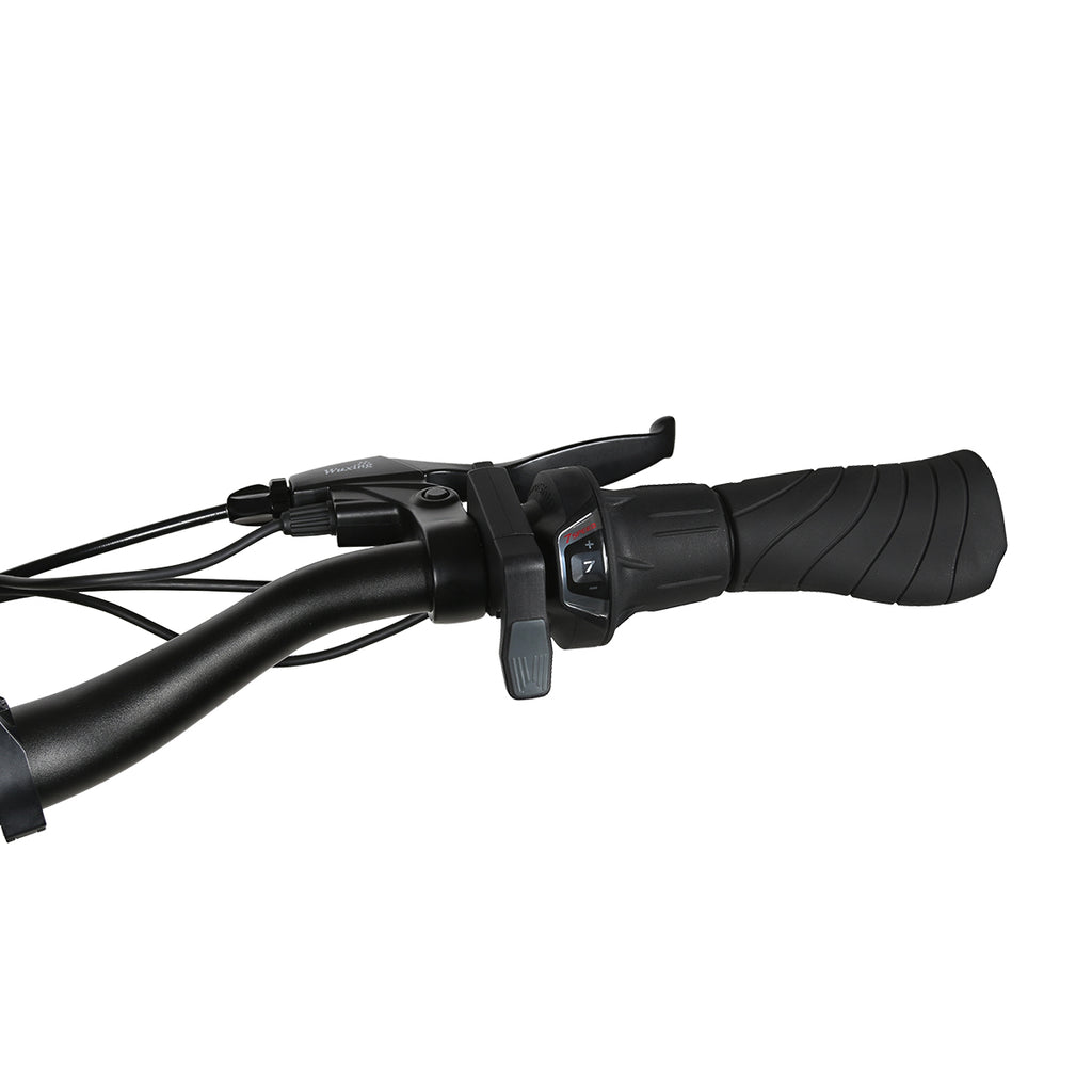 Vélo Électrique SAMEBIKE RS-A01 Pro - Moteur 350W Batterie 36V15AH Autonomie 40KM Freins à Disque Mécaniques - Noir