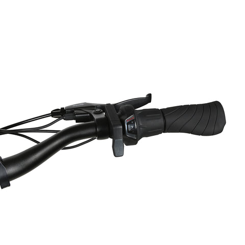 Vélo Électrique SAMEBIKE RS-A01 Pro - Moteur 350W Batterie 36V15AH Autonomie 40KM Freins à Disque Mécaniques - Bleu