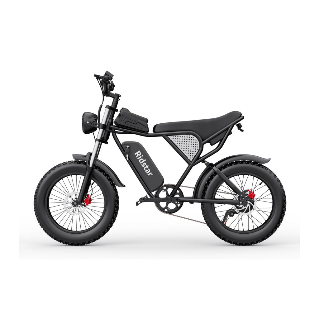 Vélo Électrique Ridstar Q20 - Moteur 750W Batterie 48V20Ah Pneus 20" Freins à Disque Hydrauliques - Noir