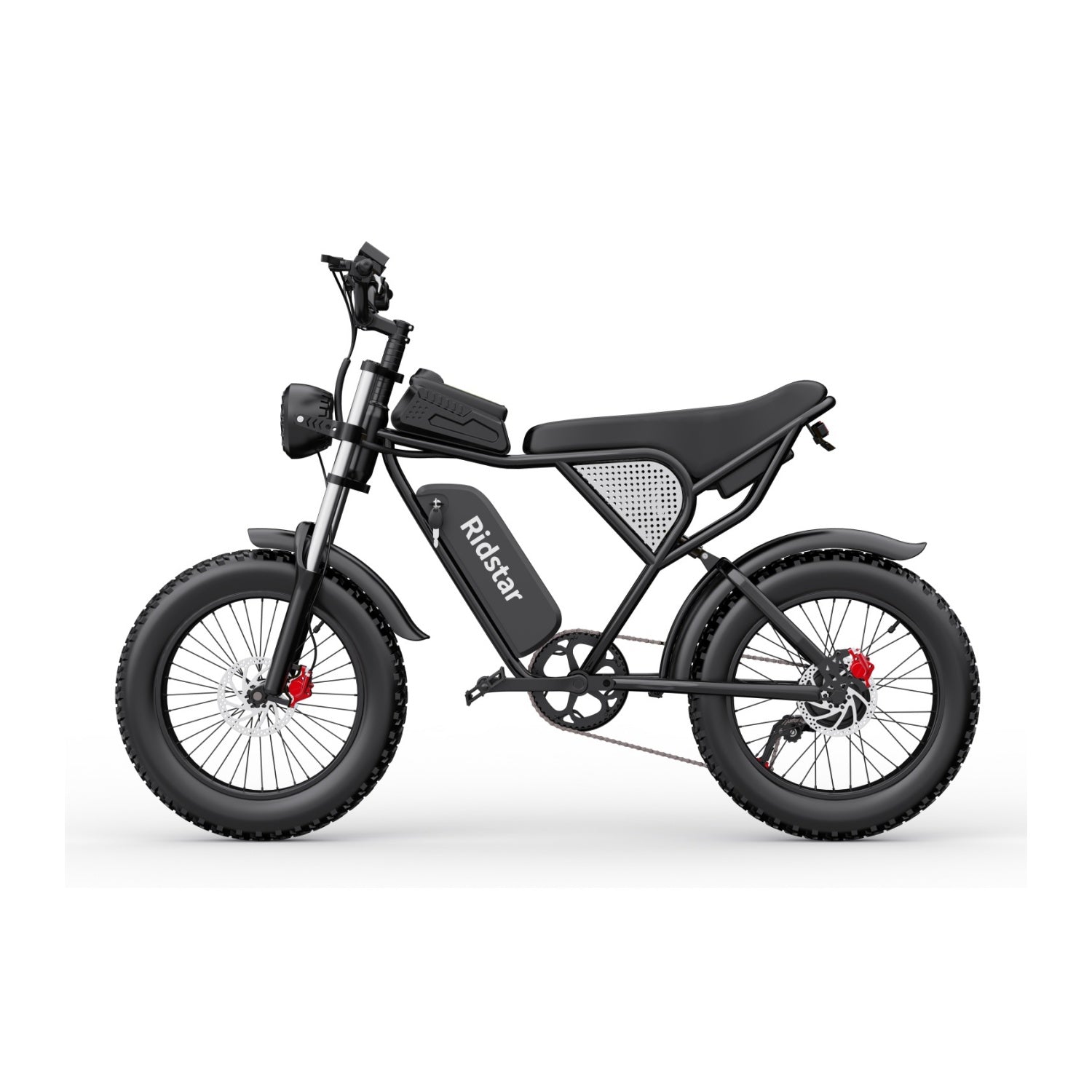 Vélo Électrique Ridstar Q20 - Moteur 750W Batterie 48V20Ah Pneus 20" Freins à Disque Hydrauliques - Noir