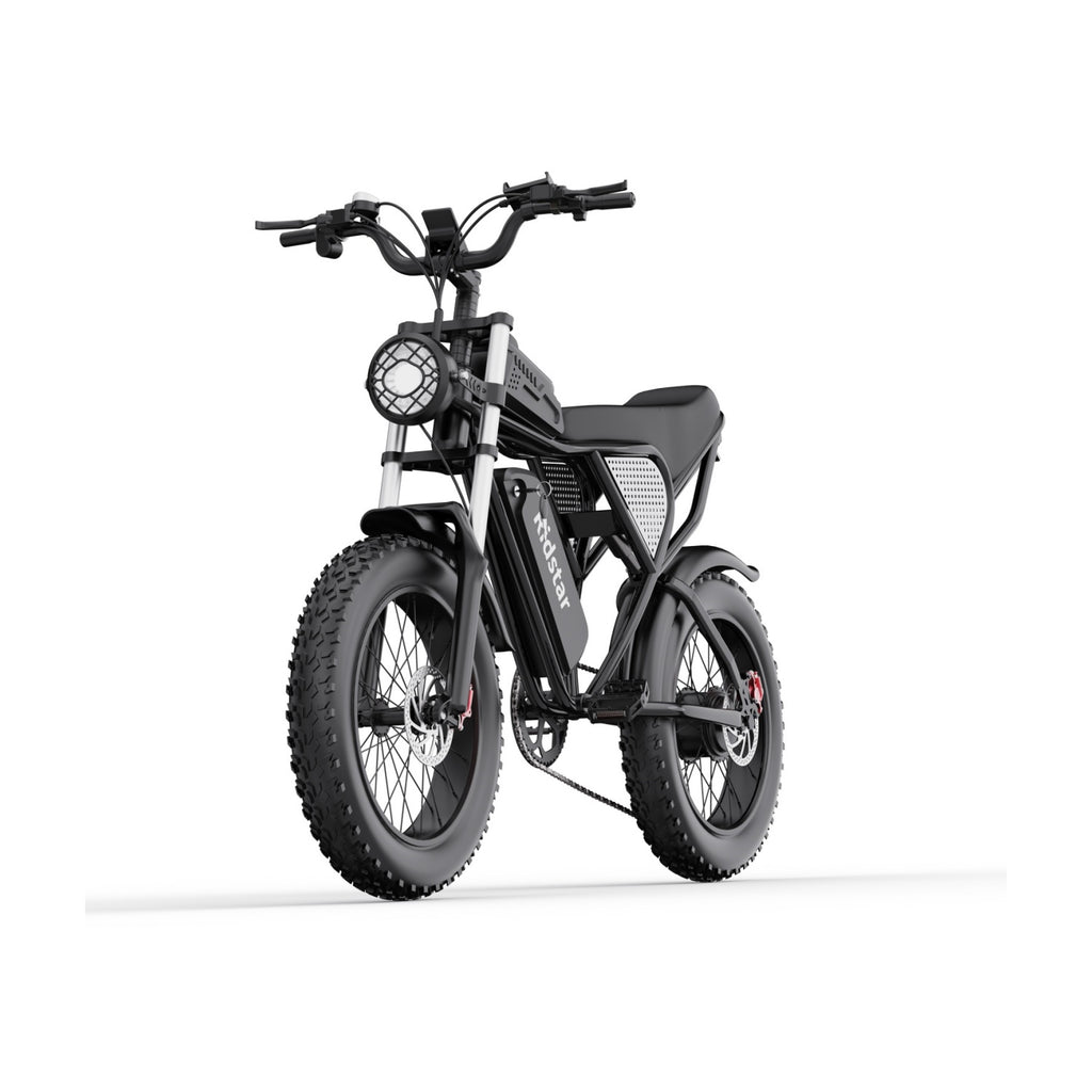 Vélo Électrique Ridstar Q20 - Moteur 750W Batterie 48V20Ah Pneus 20" Freins à Disque Hydrauliques - Noir