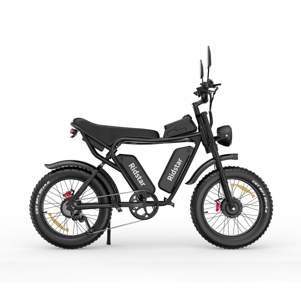 Vélo Électrique Ridstar Q20 - Dual Moteurs 750W*2 Dual Batteries 48V20Ah*2 Pneus 20" Freins à Disque Hydrauliques - Noir