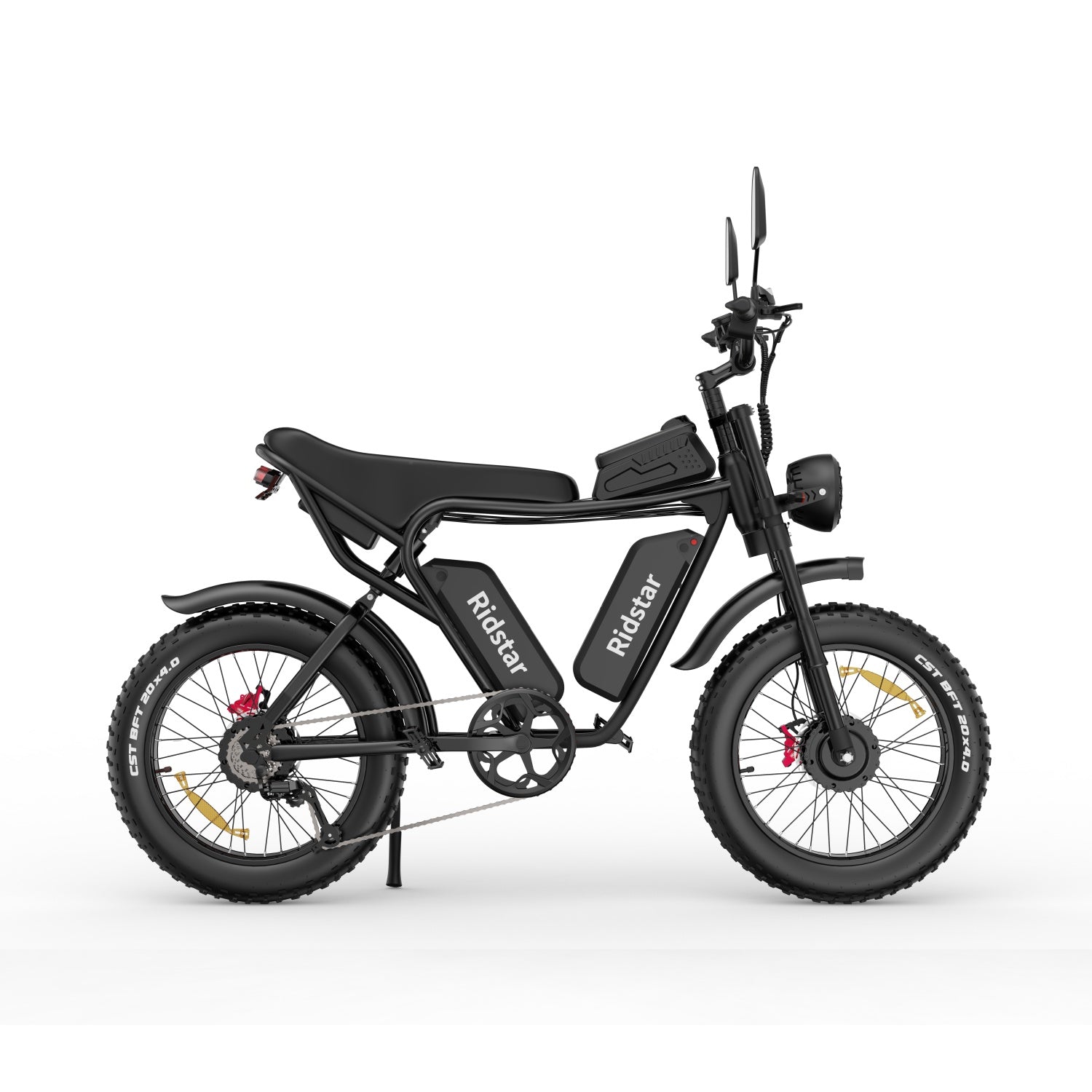 Vélo Électrique Ridstar Q20 - Dual Moteurs 750W*2 Dual Batteries 48V20Ah*2 Pneus 20" Freins à Disque Hydrauliques - Noir