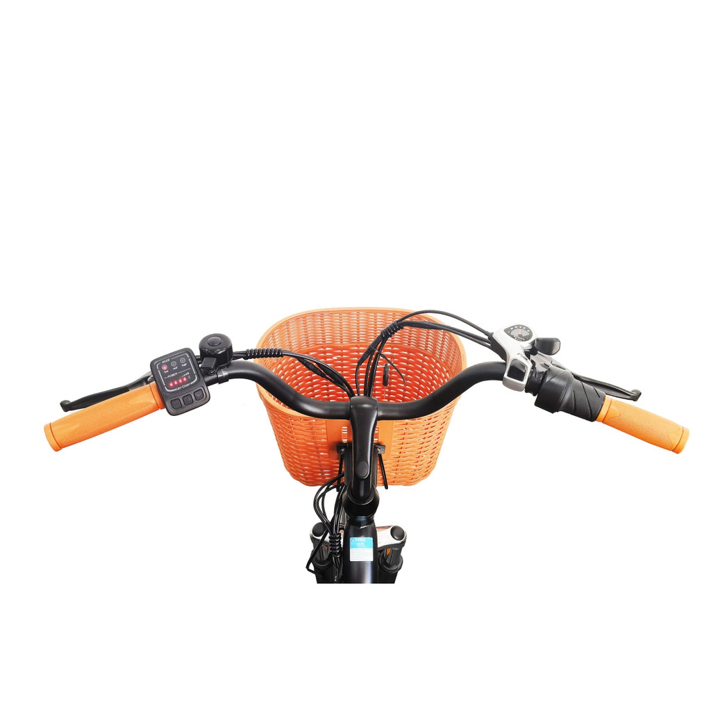 TTGO YY-26ST Vélo Électrique - Moteur 250W Batterie 36V14.5AH Pneus de 26 Pouces Freins à Disque Mécaniques - Noir