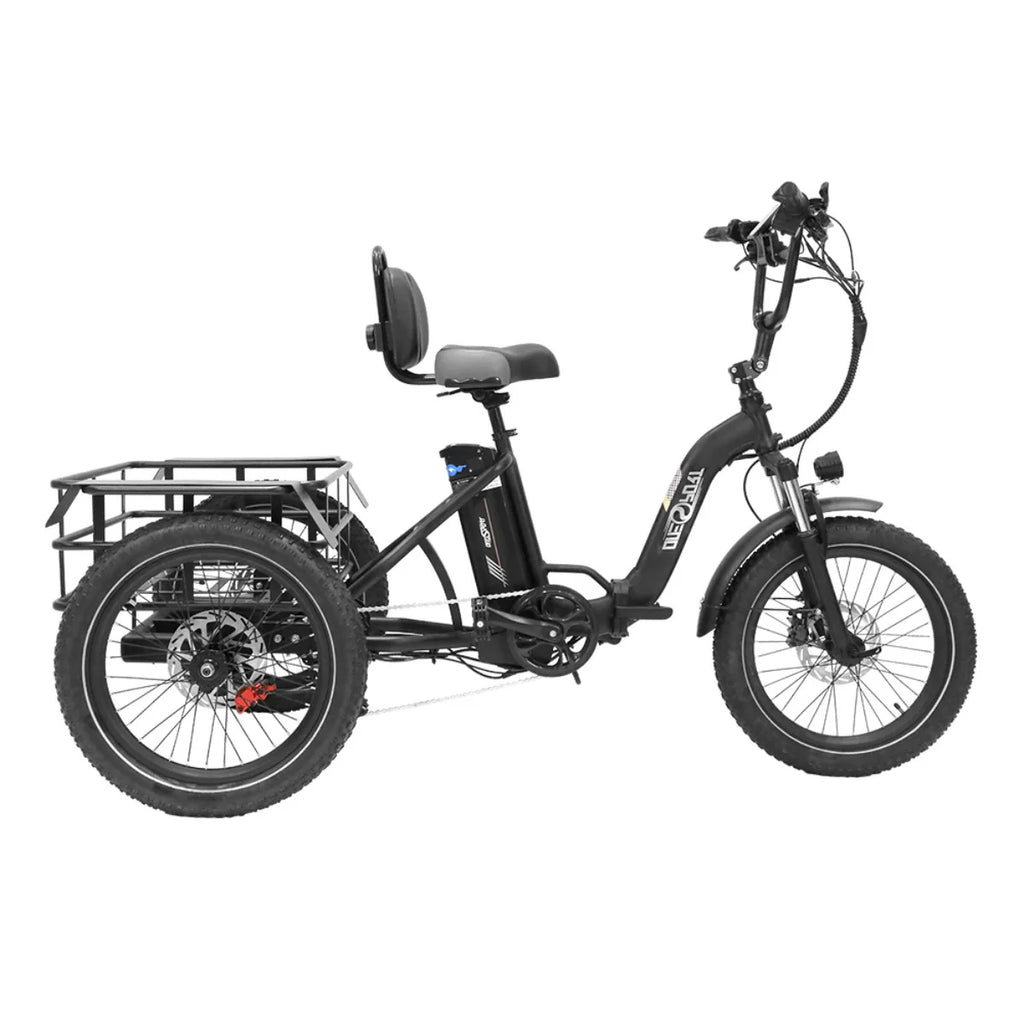 ONESPORT OT30 Vélo électrique à Trois Roues - Moteur 500W Batterie 48V13AH Pneus de 20 Pouces Freins Hydrauliques - Noir