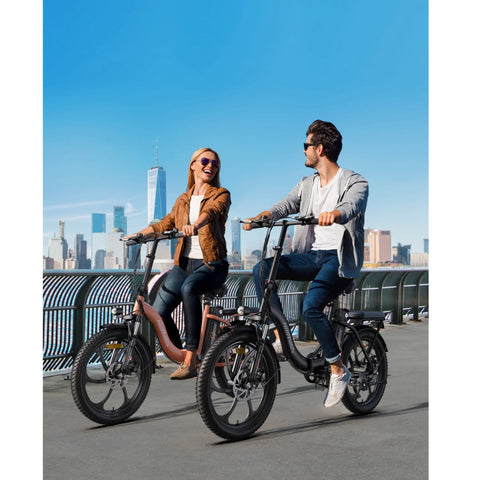 Vélo Électrique HillMiles MilePort 1 - 250W Moteur 36V13Ah Batterie Pneus 20 Pouces Freins à Disques Mécaniques - Vert
