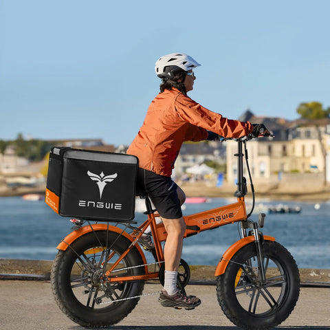 Vélo Électrique  ENGWE EP-2 BOOST - 250W Moteur Batterie 48V13AH 20 Pouces Pneus Freins à Disque Hydrauliques - Gris
