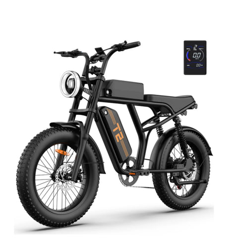 URLIFE T2 Vélo Électrique - Moteur 250W Batterie 48V 15.6Ah Pédalier assisté Freins à disque - NoirFreins à disque - Noir