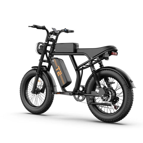 URLIFE T2 Vélo Électrique - Moteur 250W Batterie 48V 15.6Ah Pédalier assisté Freins à disque - NoirFreins à disque - Noir