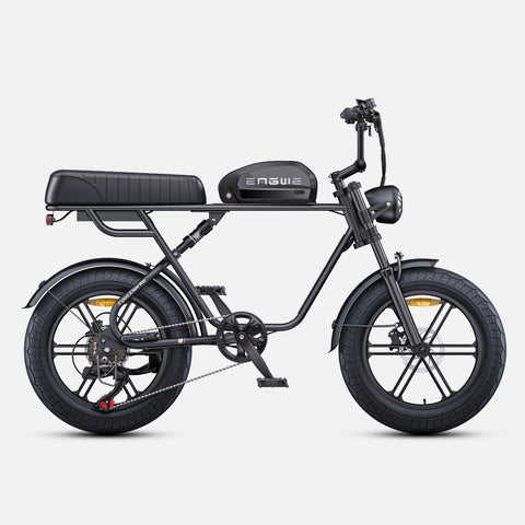 Vélo électrique ENGWE M1 EU - Moteur 250W Batterie 48V15.6AH Pneus de 20 Pouces Freins à Disque Hydrauliques - Noir