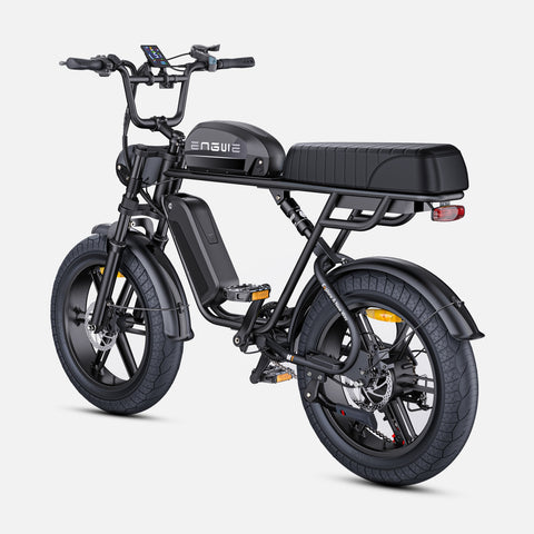 Vélo Électrique ENGWE M1 NL - Moteur 250W Batterie 48V28.6AH Pneus de 20 Pouces Frein à Disque Hydraulique Pommeau de Changement de Vitesse Sans Guidon - Noir