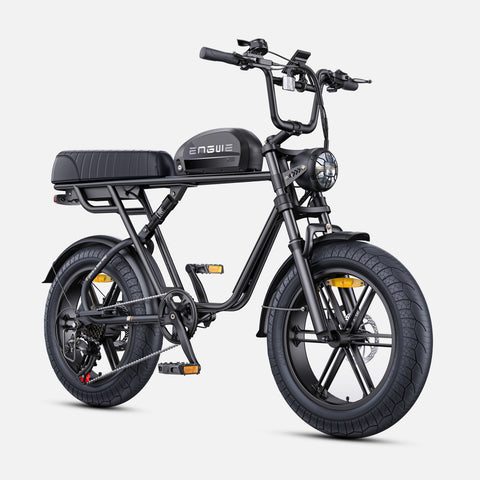 Vélo électrique ENGWE M1 EU - Moteur 250W Batterie 48V15.6AH Pneus de 20 Pouces Freins à Disque Hydrauliques - Noir