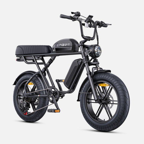 Vélo Électrique ENGWE M1 EU - Moteur 250W Batterie 48V28.6AH Pneus de 20 Pouces Freins à Disque Hydrauliques - Noir