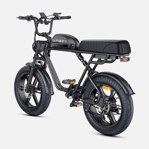 Vélo électrique ENGWE M1 EU - Moteur 250W Batterie 48V15.6AH Pneus de 20 Pouces Freins à Disque Hydrauliques - Noir