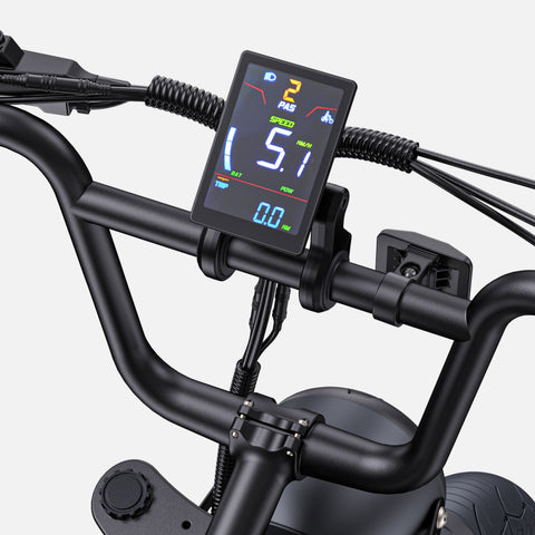 Vélo Électrique ENGWE M1 NL - Moteur 250W Batterie 48V28.6AH Pneus de 20 Pouces Frein à Disque Hydraulique Pommeau de Changement de Vitesse Sans Guidon - Noir
