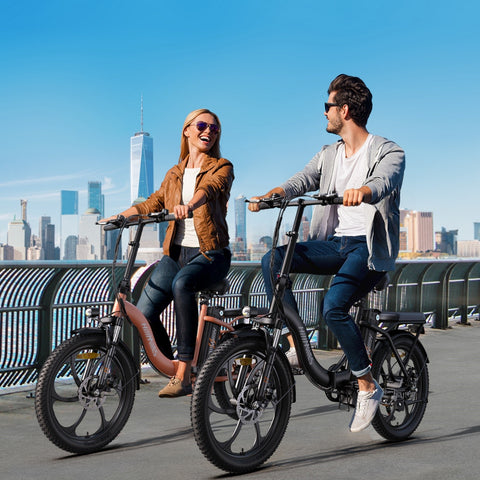 Vélo Électrique HillMiles MilePort 1 - 250W Moteur 36V13Ah Batterie Pneus 20 Pouces Freins à Disques Mécaniques - Noir