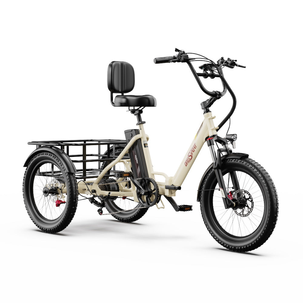 Tricycle Électrique ONESPORT OT30 PRO - Moteur 500W Batterie 48V18AH Pneus De 20 Pouces Freins à Disque – Beige