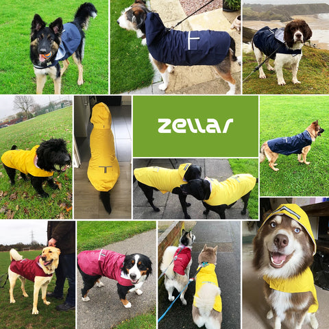 Zellar Z-RC-022 Imperméable pour chien  - avec bandes réfléchissantes - 4XL - Jaune