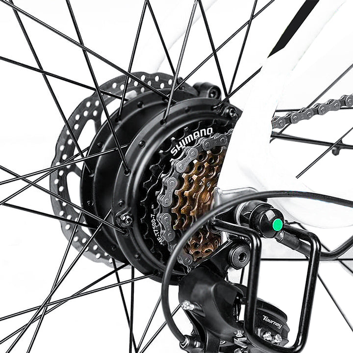 Electric Bike FAFREES F100  48V 250W 11.6AH Battery 26-Inch Air Tire Max Speed 34km/h